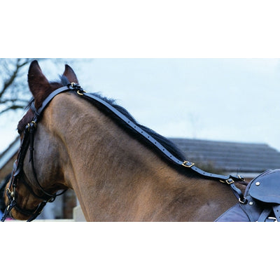 shires-4260.jpg