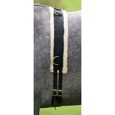 shires-469.jpg