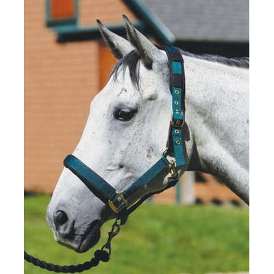 shires-87679.jpg