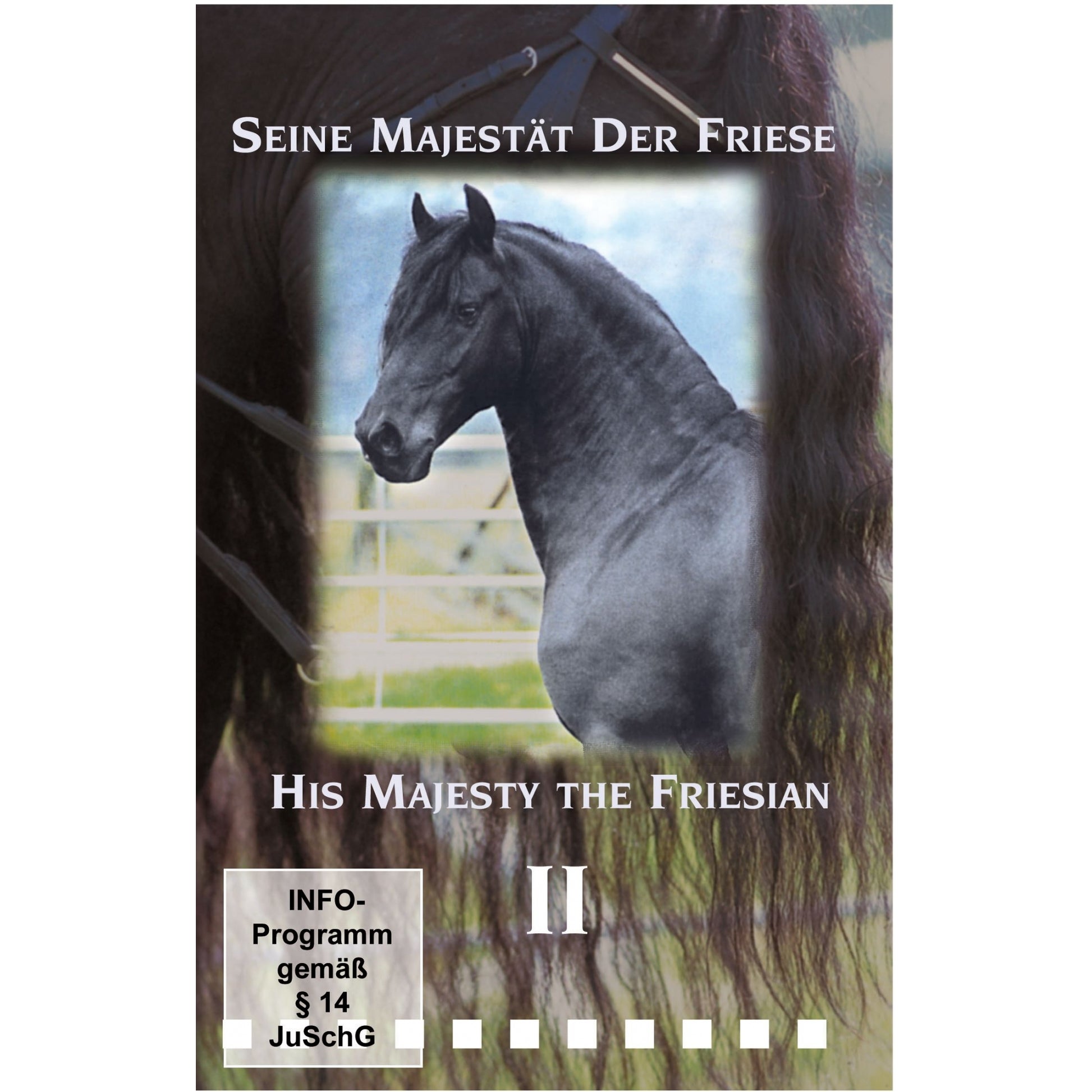 His Majesty the Friesian DVD Prt 2 with Petra Van Den Heuvel