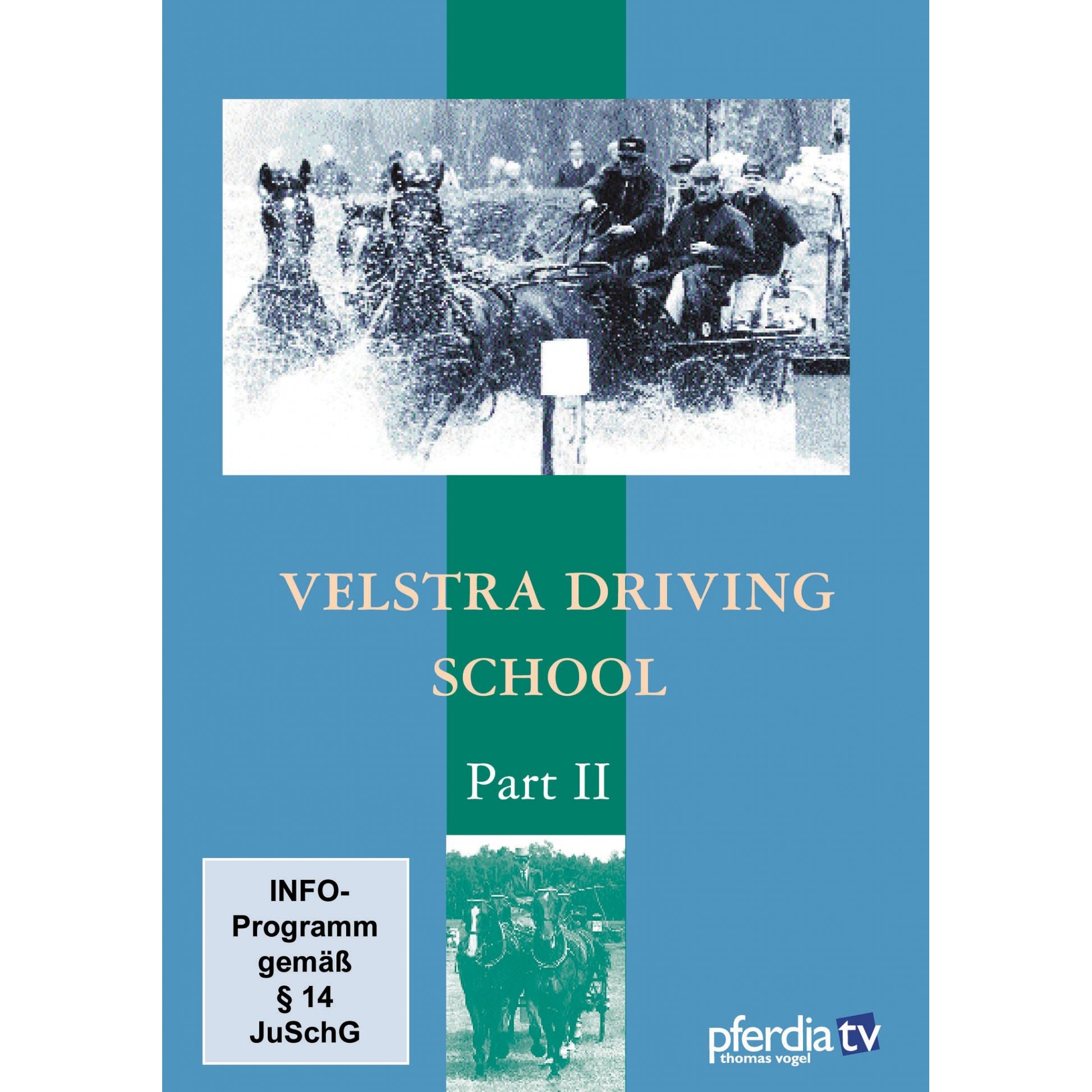 Velstra Driving Training Part 2 DVD-Tjeerd Velstra